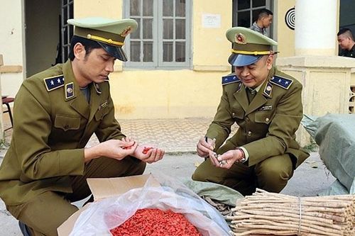 Thị trường dược liệu nhập khẩu phi mậu dịch: Tiềm ẩn nhiều nguy cơ ngộ độc