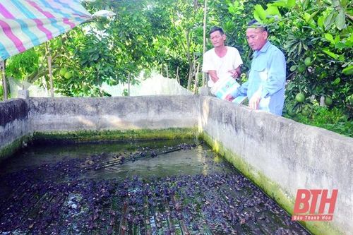 Cựu chiến binh làm theo lời Bác