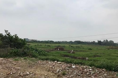 Hạn chế thông tin sai lệch về đất đai