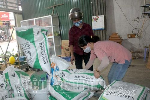 Thức ăn chăn nuôi tăng giá, nông dân gặp khó