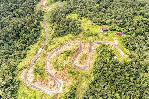 Đầu tư bảo vệ và phát triển rừng