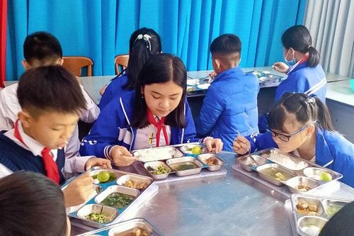 Bữa ăn học đường cải thiện tầm vóc trẻ em Việt Nam
