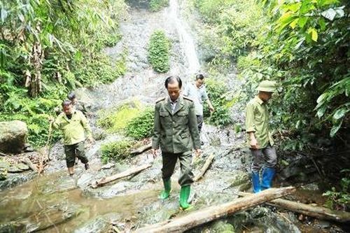 Yên Lập tăng cường công tác quản lý bảo vệ rừng