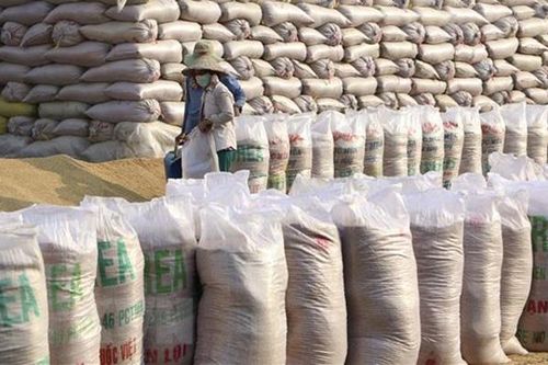 Bộ Nông nghiệp Mỹ dự báo Việt Nam tiếp tục đứng thứ hai về xuất khẩu gạo