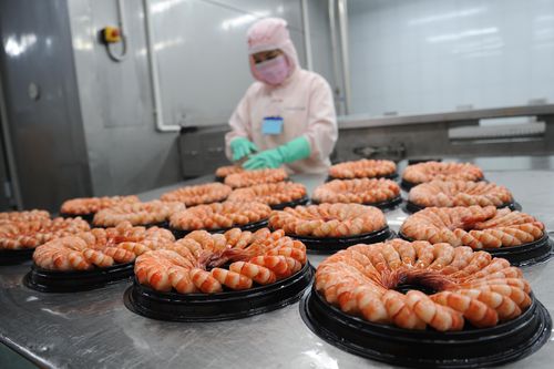 Phát triển thương hiệu tôm sạch Cà Mau, mở rộng thị trường xuất khẩu