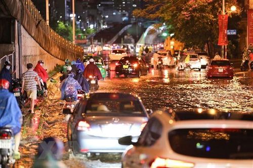 Hà Nội: Ngập nặng và cây đổ ở nhiều tuyến phố sau cơn mưa lớn