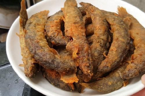 6 loại cá đại bổ không 'thần dược' nào sánh bằng, bảo vệ não, tim tốt hơn thịt 10 lần
