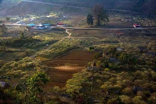 Cao nguyên Mộc Châu đẹp ngỡ ngàng giữa mùa xuân
