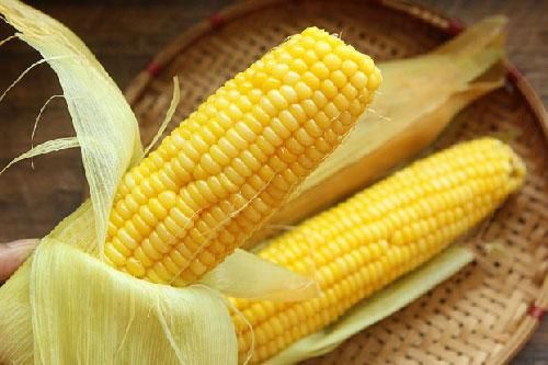 Ngô ngon nhưng cực độc nếu ăn nhiều, có thể gây viêm ruột hoặc các bệnh mãn tính