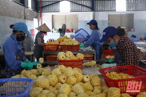 Nỗ lực thực hiện 'mục tiêu kép'