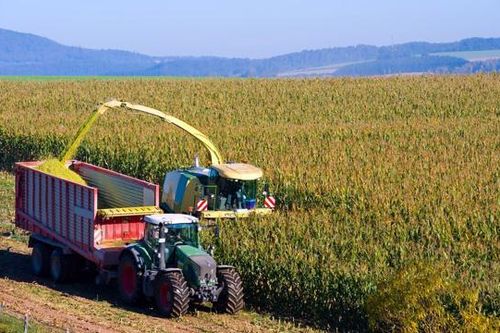 Sốt nguyên vật liệu thô tiếp tục lan rộng, đến lượt giá ngô tăng phi mã