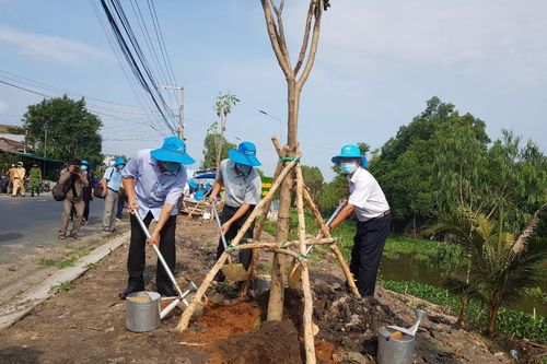 An Giang hưởng ứng chương trình 'Vì một Việt Nam xanh'