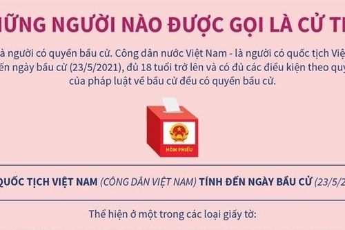 Những quy định về người được gọi là cử tri