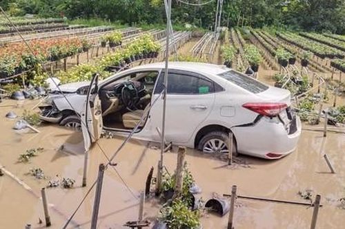 Thuê xế hộp tự lái rồi 'bay' xuống ruộng, tài xế 'lặn' mất tăm