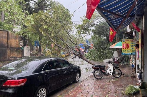 Hà Nội mưa như trút sau nhiều ngày nắng gắt, nhiều nơi mất điện, cây đổ
