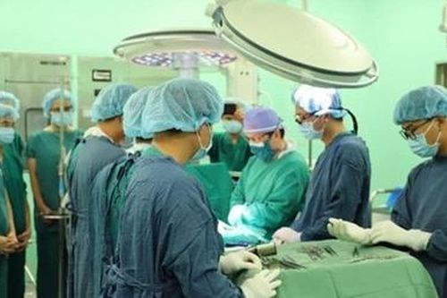 Những cuộc đời hồi sinh từ hiến tạng