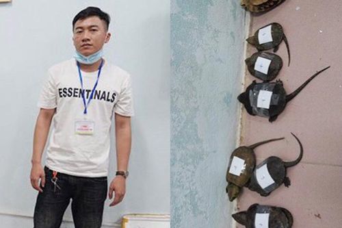 Bị bắt vì vận chuyển động vật hoang dã cho bố