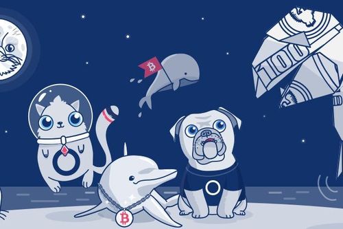 Sau Doge, 'coin động vật' trở thành trào lưu nguy hiểm