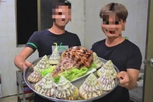 Vlogger Trung Quốc bị bắt vì ăn thịt ốc tù và khổng lồ