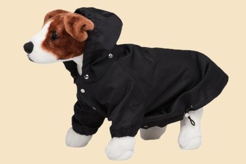 Prada bán áo mưa cho cún cưng với giá 520 USD