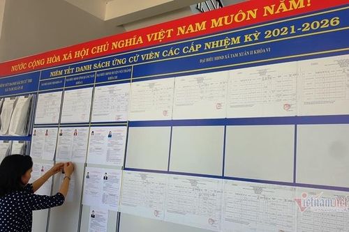 Bí thư Quảng Nam: Sẽ đưa thùng phiếu đến khu cách ly để người dân bầu cử