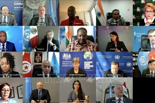 Việt Nam ủng hộ bầu cử tự do, công bằng ở Iraq