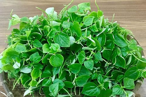 7 tác dụng của rau càng cua trong việc phòng và trị bệnh