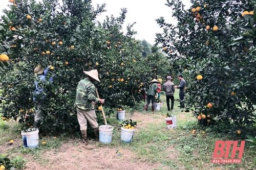 Nâng cao hiệu quả, tính ứng dụng của các nhiệm vụ khoa học và công nghệ