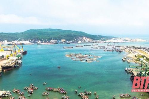 Nuôi cá lồng tự phát trên vịnh Nghi Sơn – cảnh báo những hệ lụy