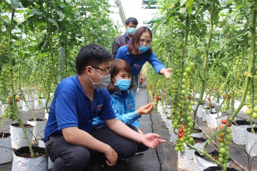 Kỳ 2: Từ nông nghiệp công nghệ cao