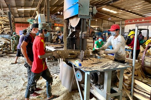 Gia Lai có 310 doanh nghiệp thành lập mới