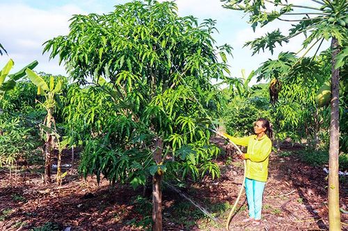 Năm 2025: Phấn đấu đạt chuẩn huyện nông thôn mới nâng cao