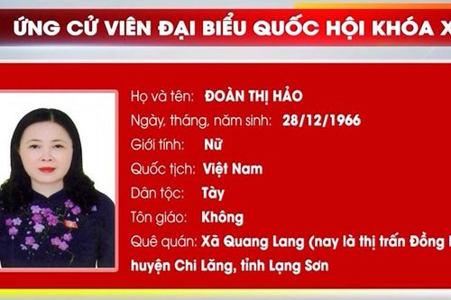 Ứng cử viên Đoàn Thị Hảo, Ủy viên Ban Thường vụ Tỉnh ủy, Phó Trưởng đoàn chuyên trách Đoàn đại biểu Quốc hội tỉnh Thái Nguyên