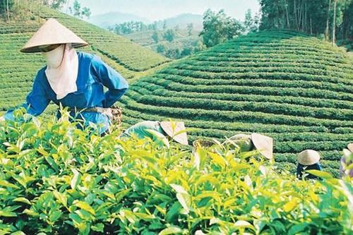 Na Hang (Tuyên Quang): Nhân rộng điển hình hay, cách làm sáng tạo