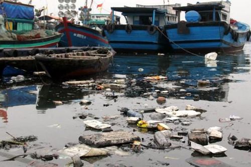 Đổi rác lấy giấy xuất bến để cứu môi trường biển