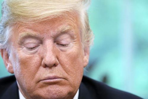 Blog của ông Trump ít tương tác hơn cả một dòng tweet