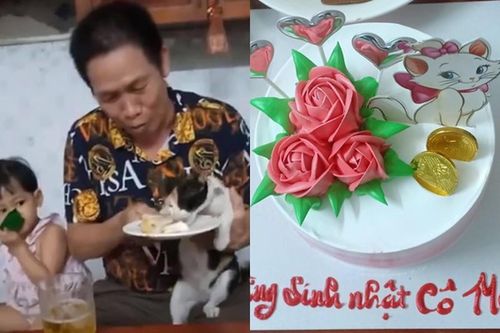 'Cô' mèo số hưởng được tổ chức sinh nhật, 'cả thế giới' ghen tỵ