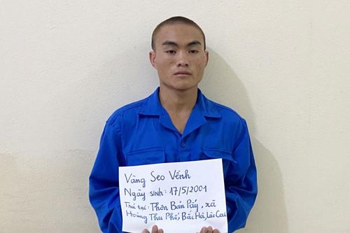 Lào Cai: Sát hại em trai 3 tuổi cùng cha khác mẹ vì muốn lấy đất