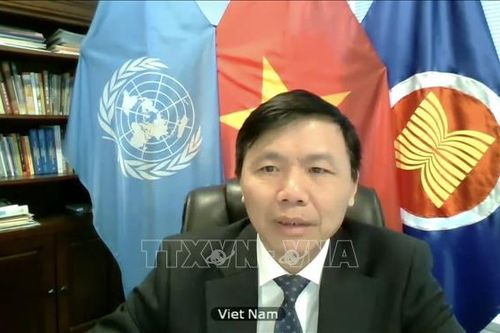 Việt Nam kêu gọi các bên tăng cường hợp tác, sớm chấm dứt xung đột tại Yemen