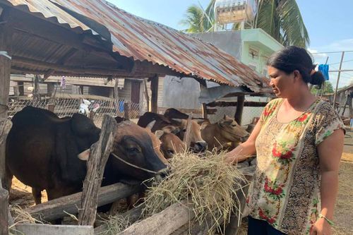 Phú Thiện: Đồng bào dân tộc thiểu số thoát nghèo nhờ thay đổi tư duy
