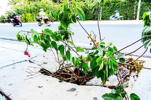 Cần đậy nắp hố ga, nắp chắn rác