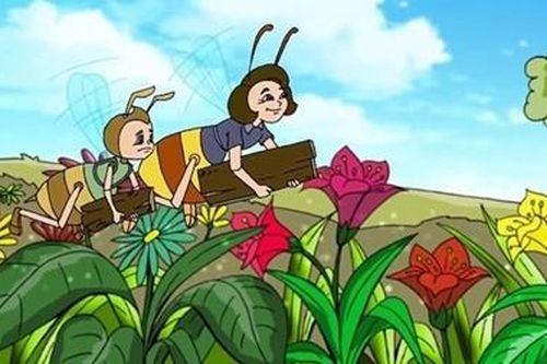 Lần đầu thi viết kịch bản phim tài liệu (60 phút), phim hoạt hình (90 phút)