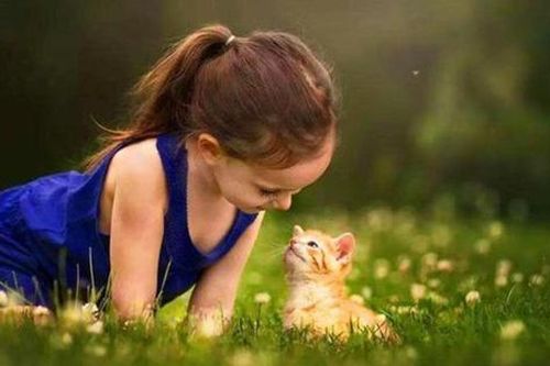 Thấy con không thích tiếp xúc, yếu về kỹ năng xã hội, bố mẹ hãy cải thiện ngay bằng 3 cách cực kỳ hữu ích này