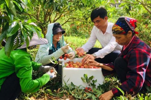 Thúc đẩy tiêu thụ nông sản trong mùa dịch Covid-19