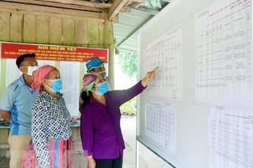 Cử tri là người di cư tự do, chưa đăng ký thường trú hoặc tạm trú tại địa phương thì có quyền tham gia bầu cử đại biểu ở cấp nào?