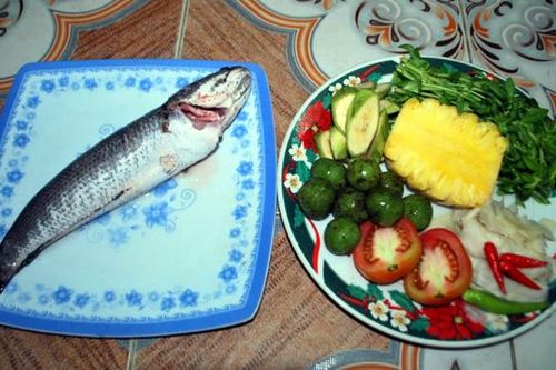 Nôn nao sấu gọi hè về