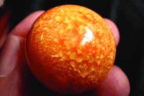Ngư dân tìm thấy ngọc trai Melo quý hiếm nhờ được 'báo mộng'