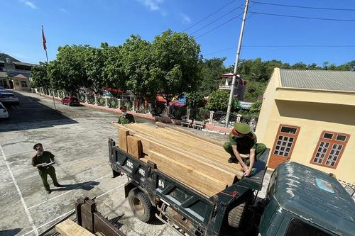 Bắt giữ liên tiếp 2 vụ vận chuyển lâm sản trái phép