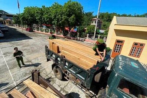 Liên tiếp bắt giữ 2 vụ vận chuyển số lượng lớn lâm sản trái phép