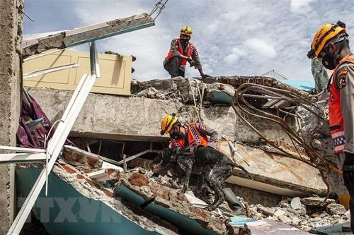 Động đất có độ lớn 6,6 xảy ra tại khu vực bờ biển Indonesia